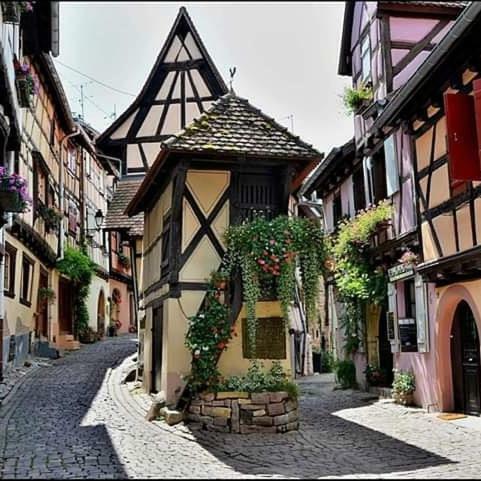 Ferienwohnung Fleur De Vigne Eguisheim Exterior foto