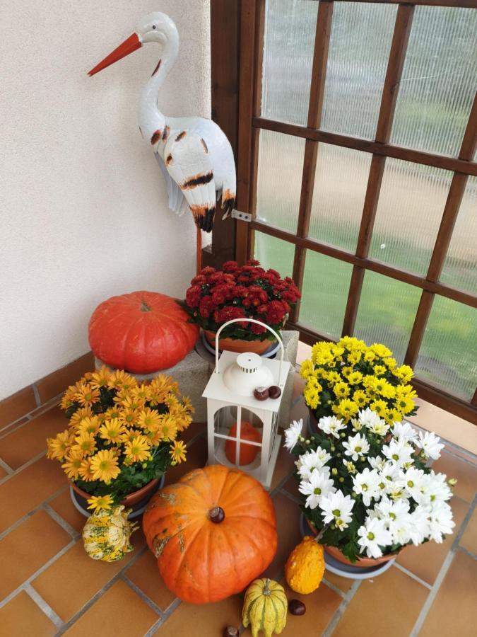 Ferienwohnung Fleur De Vigne Eguisheim Exterior foto